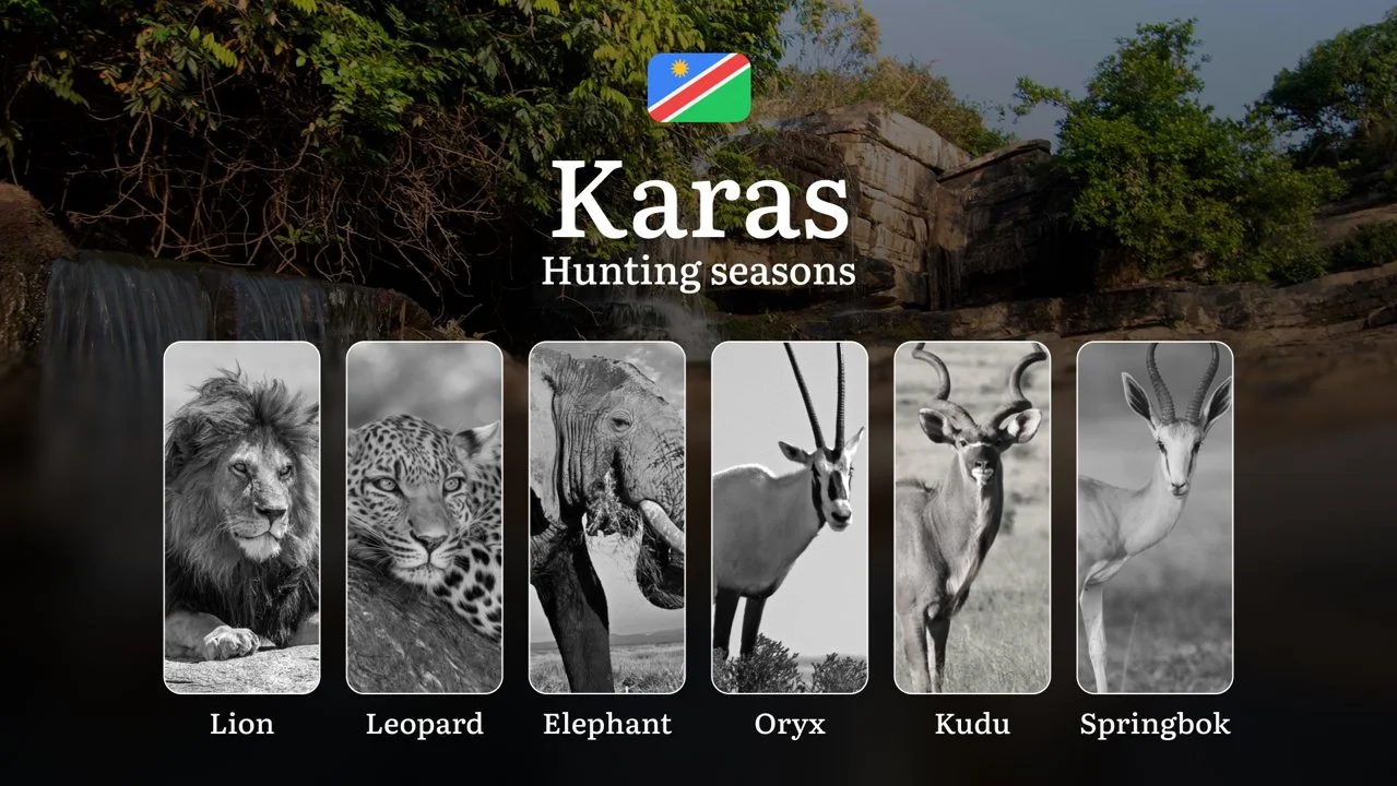 Seasonal Hunting Periods in Karas, Namibia: Year-Round Species Access, Game Activity by Season, and Getting Legal Permis…