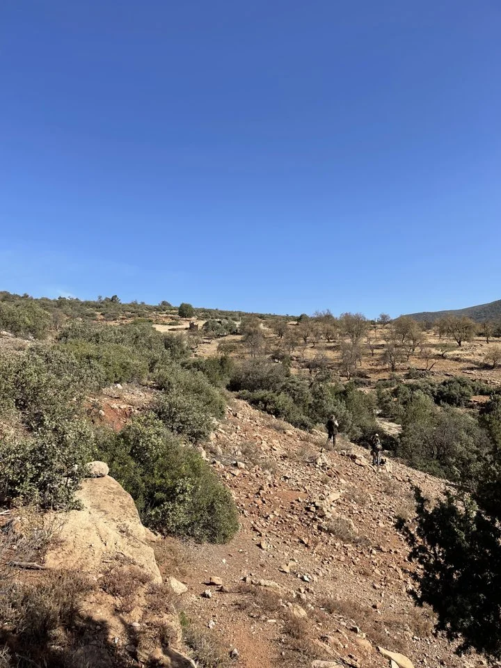 Shooting in the Atlas Mountains: Complete Hunting Guide for Morocco’s Premier Region

The Atlas Mountains of Morocco are a magnet for serious hunters seeking rugged terra