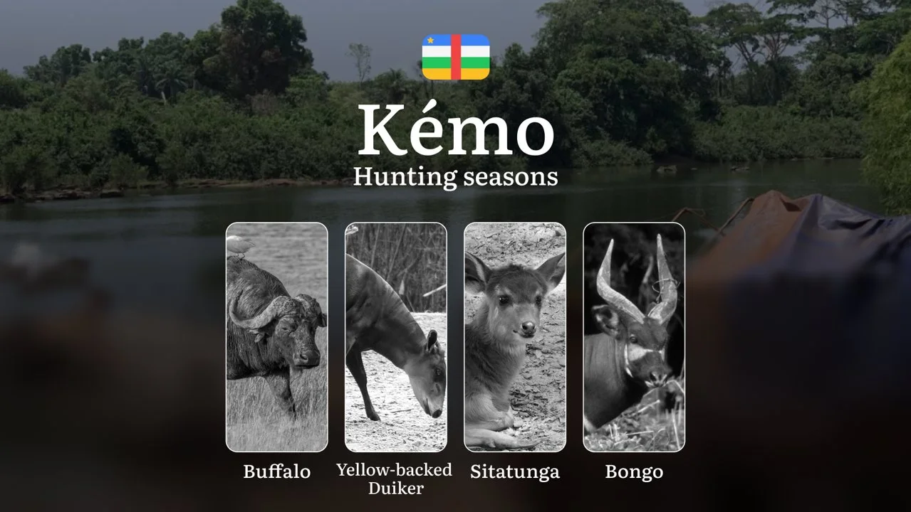 Hunting Seasons of Kémo: Exploring General Hunting Rules, Legislation and Permits, Hunter Events and Cultural Experiences
General Hunting Rules and Seasons in Kémo
The