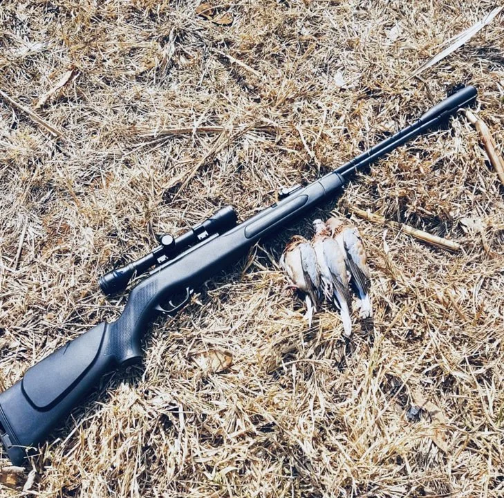 Bird Hunting in Zambia: A Complete Guide for Hunters (Species, Seasons, Tactics & Tours)
