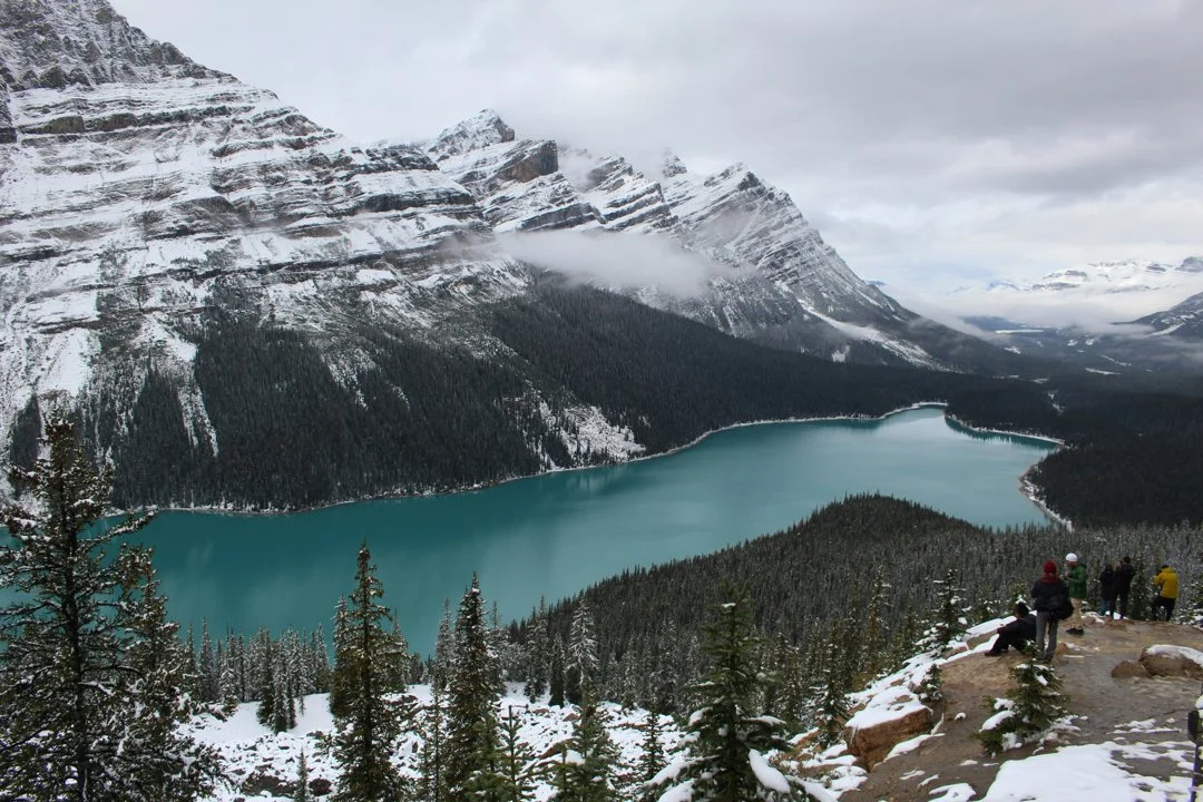 La chasse dans le PARC JASPER au Canada : Caractéristiques géographiques, espèces locales et stratégies de chasse alpine
Le parc national Jasper, situé dans les Rocheuse