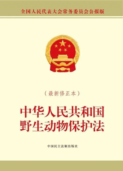 🚨中国野生动物保护法重磅修订:5大核心要点保护生态平衡