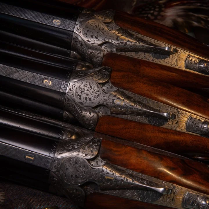 Walking Gun Field Sports Photography