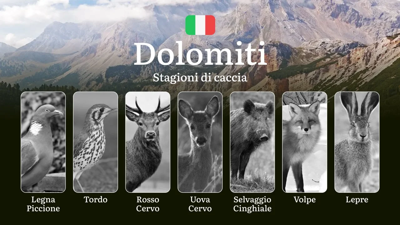 Quando Cacciare nelle Dolomiti: Aperture, Chiusure e Quote per una Caccia Sostenibile
Le Dolomiti , patrimonio mondiale dell’umanità UNESCO, rappresentano uno dei paesag
