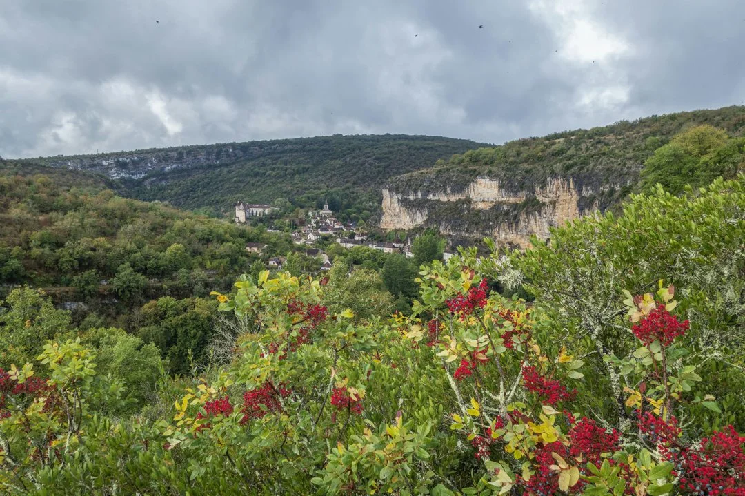 La chasse en DRÔME: Portrait des chasseurs, démographie cynégétique, types de chasse uniques et faune locale

La Drôme, située dans la région Auvergne-Rhône-Alpes en Fran