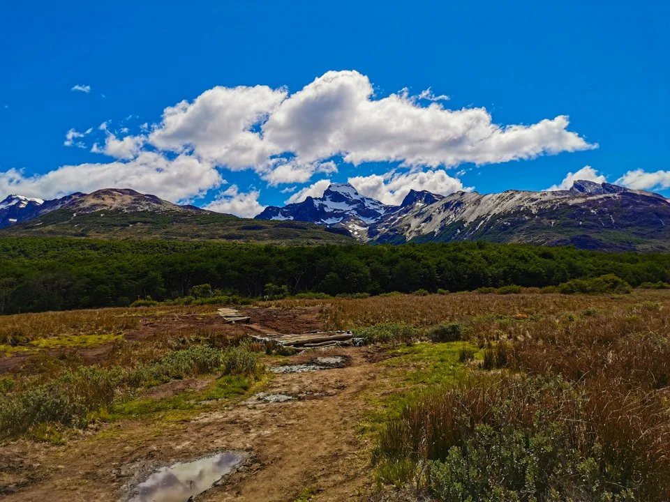 Caza en Santiago del Estero: geografía, tipos de caza, asociaciones de cazadores, legislación de caza y tradiciones

Condiciones naturales en Santiago Del Estero
Santiago