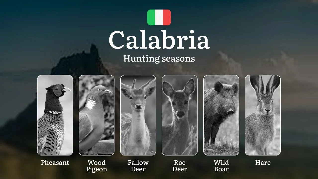 Calabria Hunting Seasons: Rare Winter Permits in the Sila and Aspromonte National Parks, Tips and Secrets