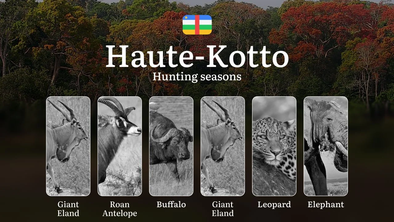 Hunting in Haute-Kotto: Understanding Hunting Calendar, Legal Permits and Restrictions, Local Hunting Traditions Hunting in Haute-Kotto: Understanding Hunting Calendar, Legal Permits and Restrictions, Local Hunting Traditions