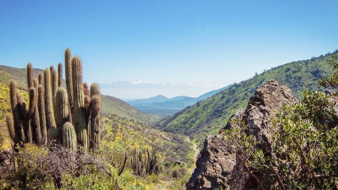 Inauguran el primer Monumento Natural del nuevo Sistema Nacional de Áreas Protegidas en Chile