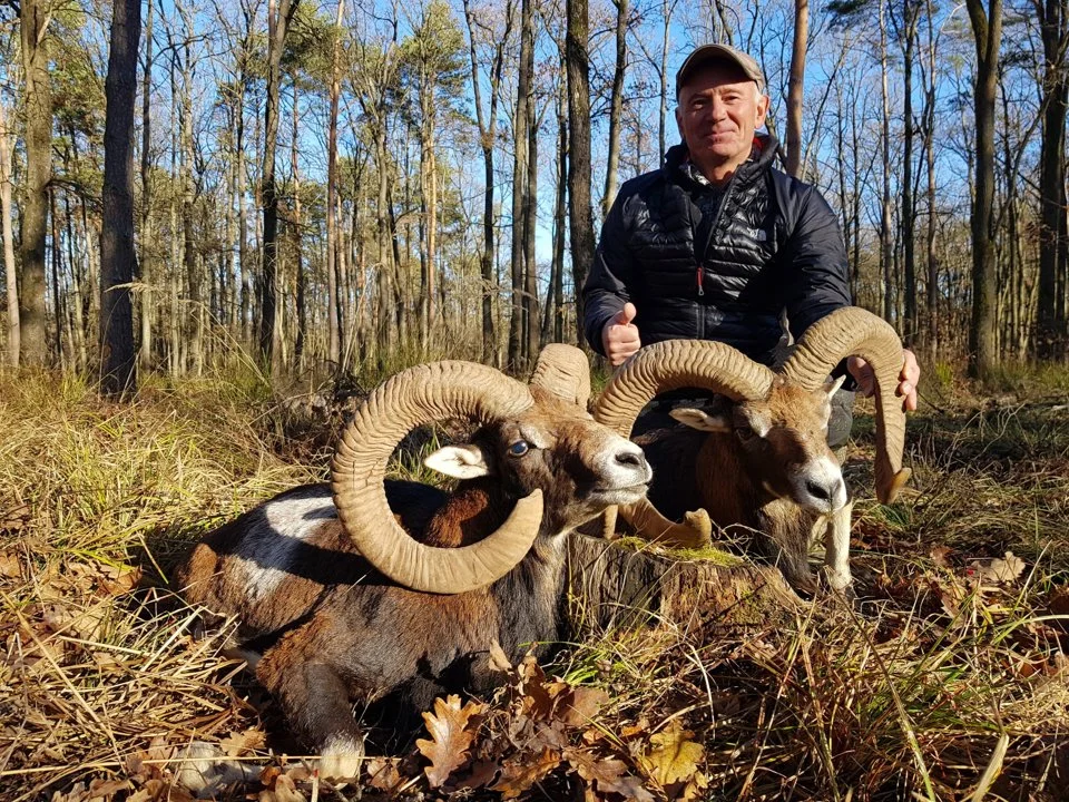 Die Jagd im Raum Graz: Rahmenbedingungen, Anwendung, Struktur, Wildtierpopulationen, Zeiträume, Organisationen, Traditionen, Details
Gesetzliche Rahmenbedingung