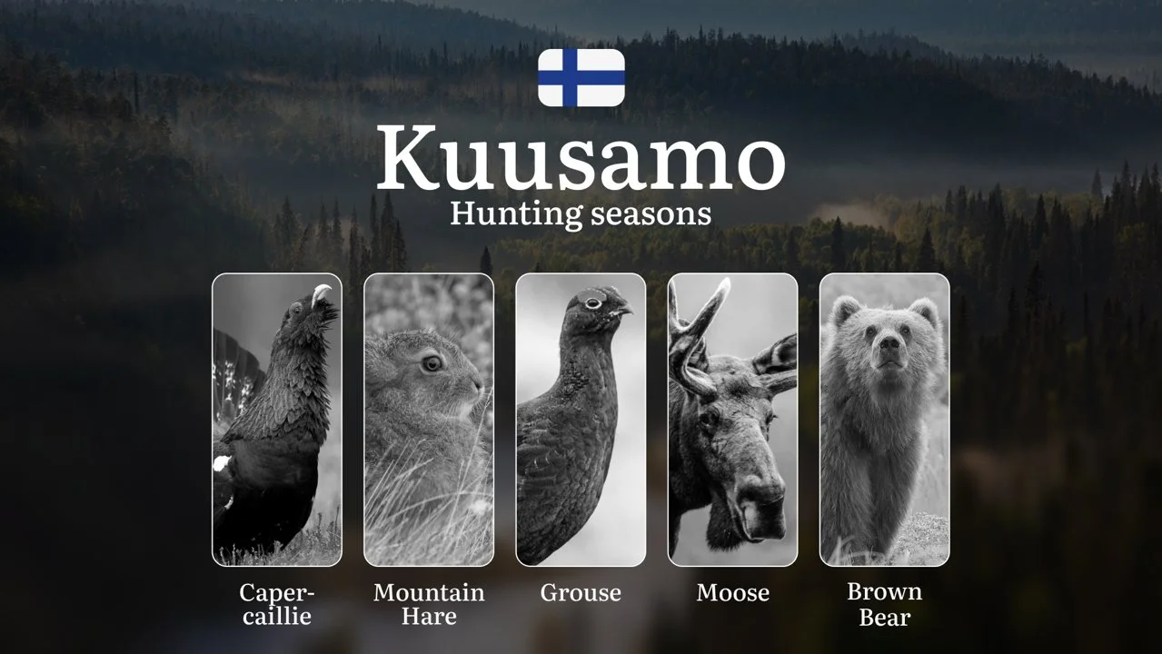 Hunting Seasons in KUUSAMO: Key Dates, Optimal Hunting Periods, Vital Regulations, Licensing Process and Requirements
