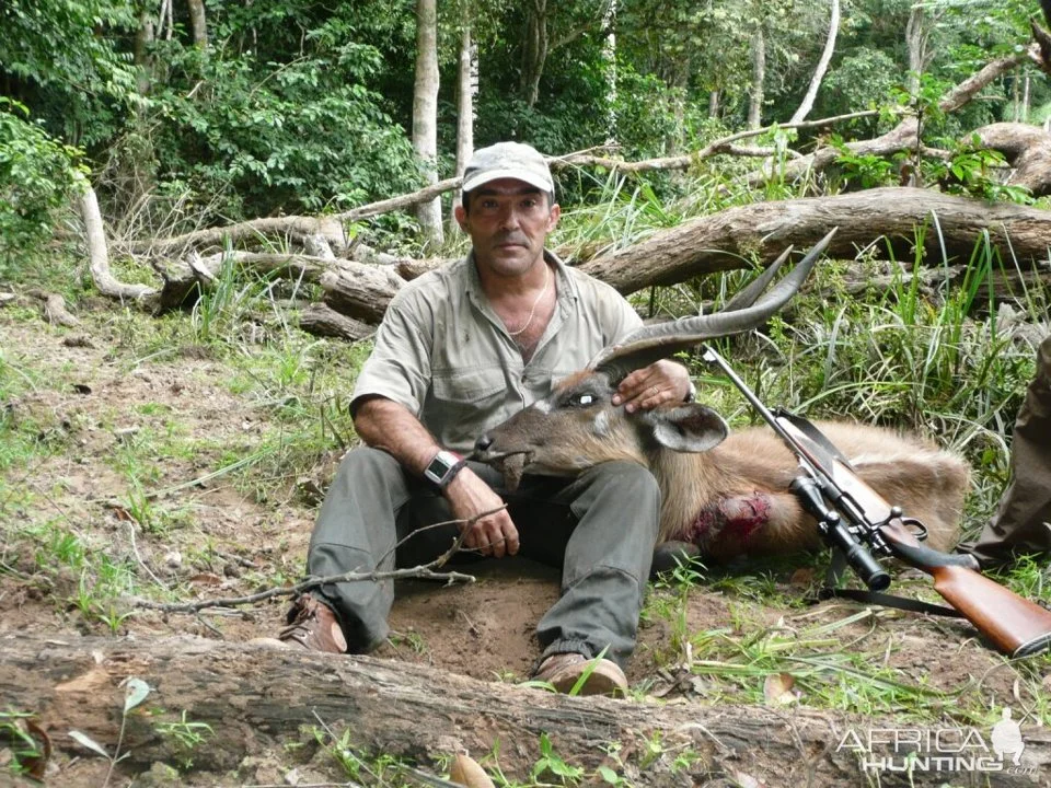 Hunting in Haut-Ogooué, Gabon:  Clubs and Laws, Legislation and Seasons, All the Hunting Aspects of Gabon

Natural Features in Gabon and Haut-Ogooué Region

Haut-Ogooué, 
