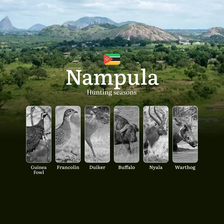The Thrill of the Hunt: Nampula’s Premier Hunting Calendar, Seasons, Regulations, and Trophy Opportunities

General Hunting Rules and Seasons in Nampula

The hunting seas