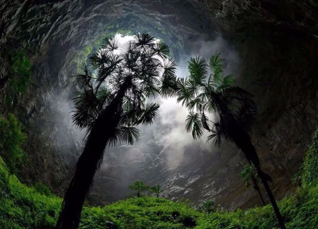 Enormous Sinkhole With Ancient Forest Inside Discovered in China