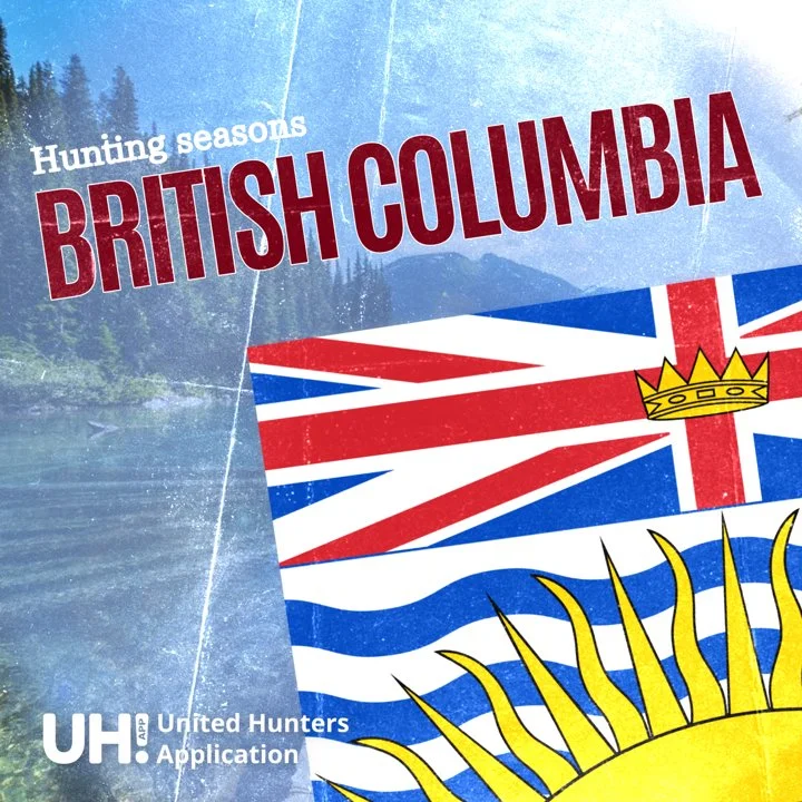 Hunting Seasons in British Columbia, Canada 2025–26: Big Game and Small Game, Licenses, and Regulations Guide