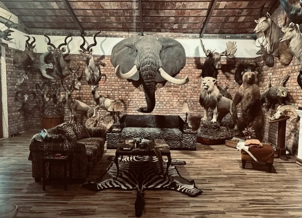 Navigating Trophy Hunting in Africa: Species, Regulations, and Conservation Impact

Trophy hunting in Africa remains a popular and often debated topic.  Understanding the