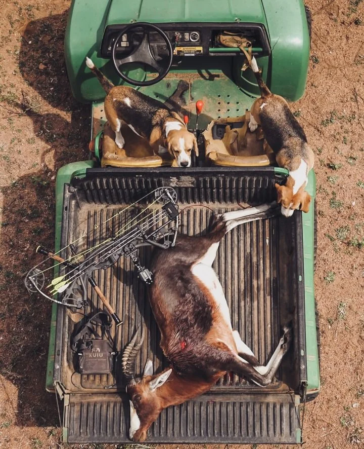 Bow Hunting Africa: A Hunter's Guide to Planning Your Trip