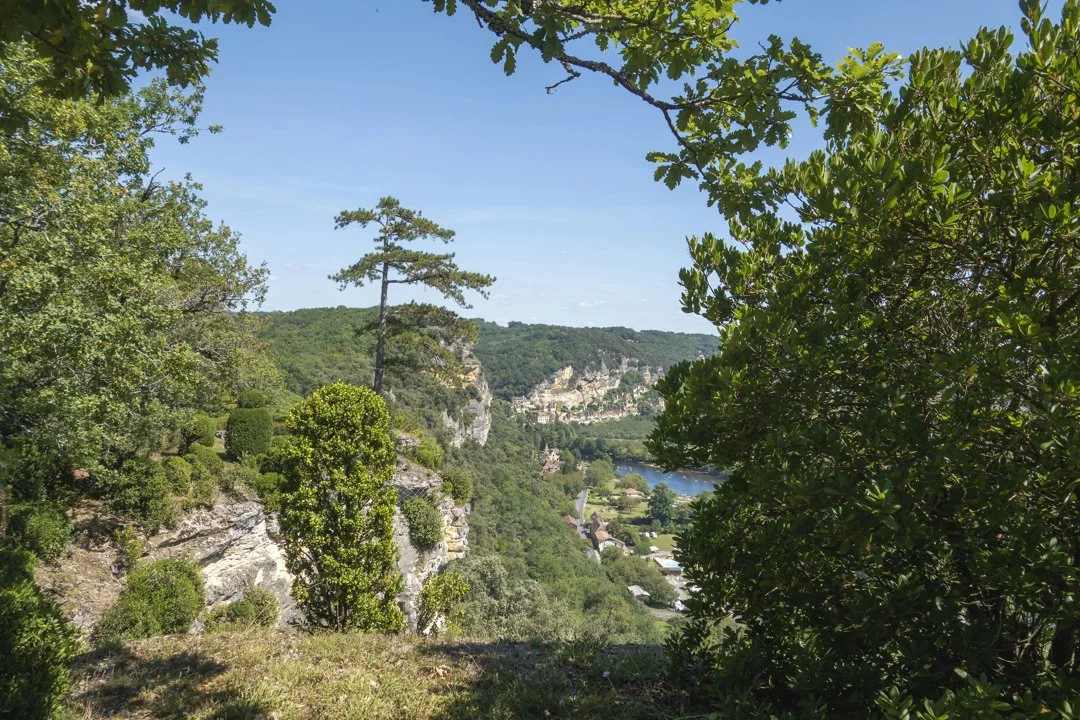 La chasse dans l'AIN: Caractéristiques géographiques, nature sauvage, types de chasse régionaux et gibier local

L'Ain, département situé dans la région Auvergne-Rhône-Al