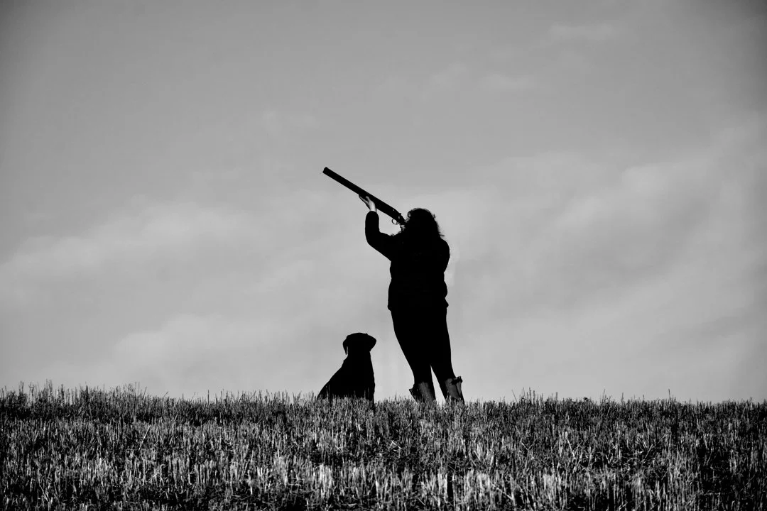 Hunting in Hampshire, England: hunters and demographics of the region, types of hunting and hunting animals, hunting leg…