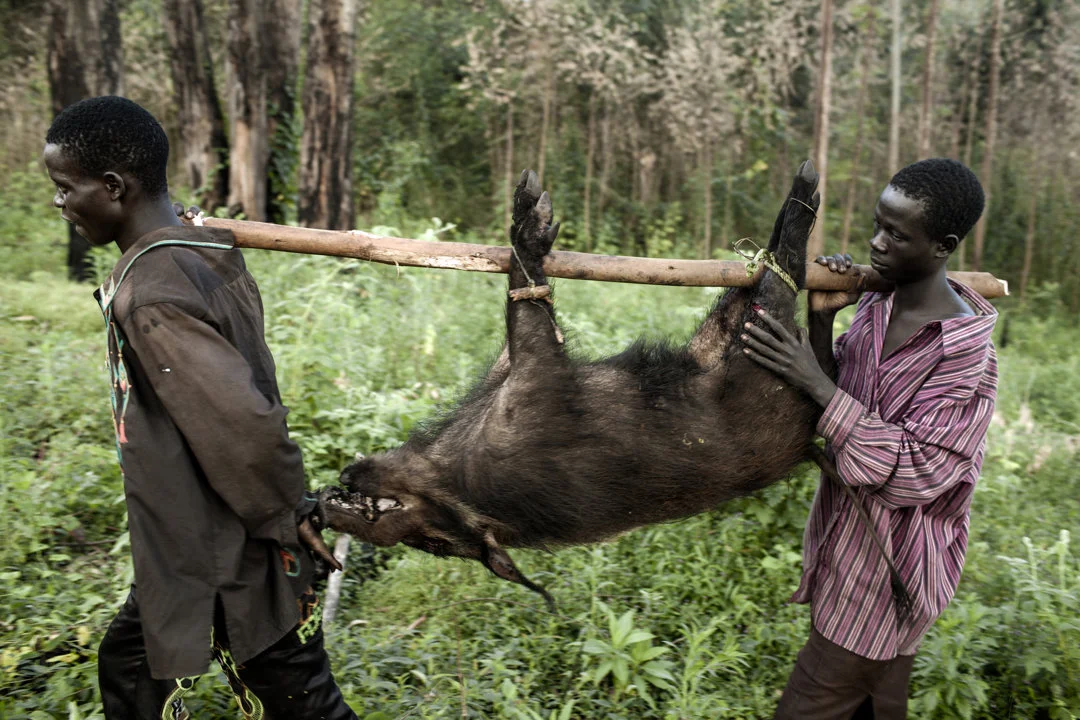 Hunting in Central Equatoria: Natural Terrain, Hunting Demographics, and Wildlife Variety