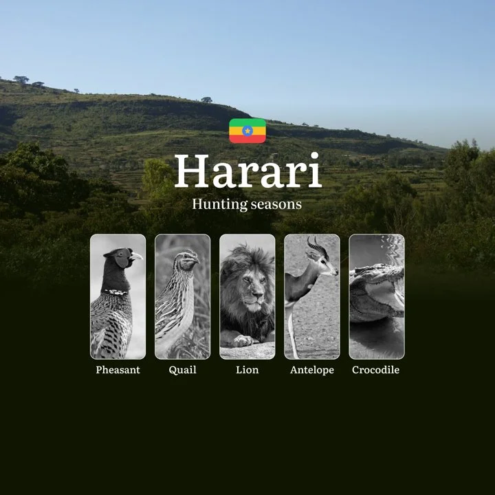 Hunting Seasons in the HARARI Region, Ethiopia: Regulations, Permits, and Time for Hunting, Documents and Organizations
Main Dates and Nature Features of Harari Region