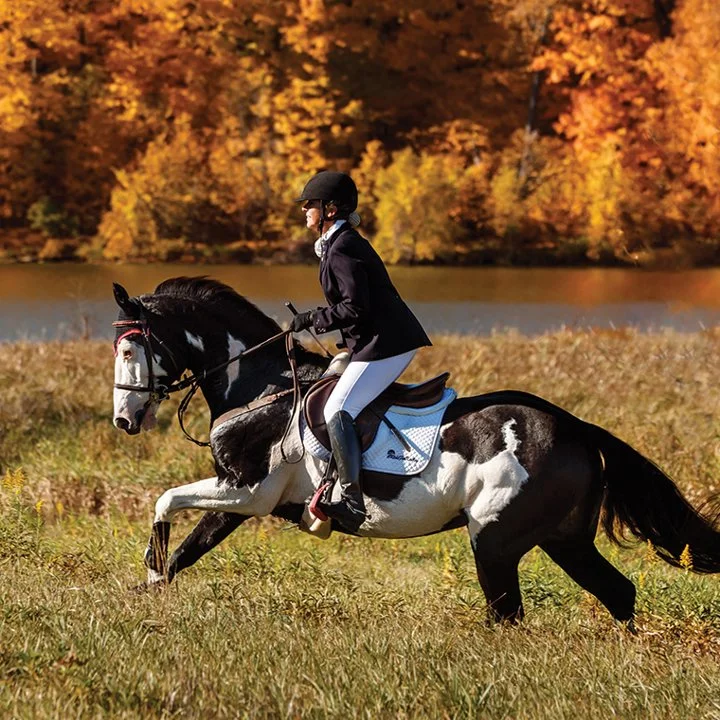 Experienced Trail Rider Dies After Fall During Heythrop Hunt: Inquest Confirms Accidental Death