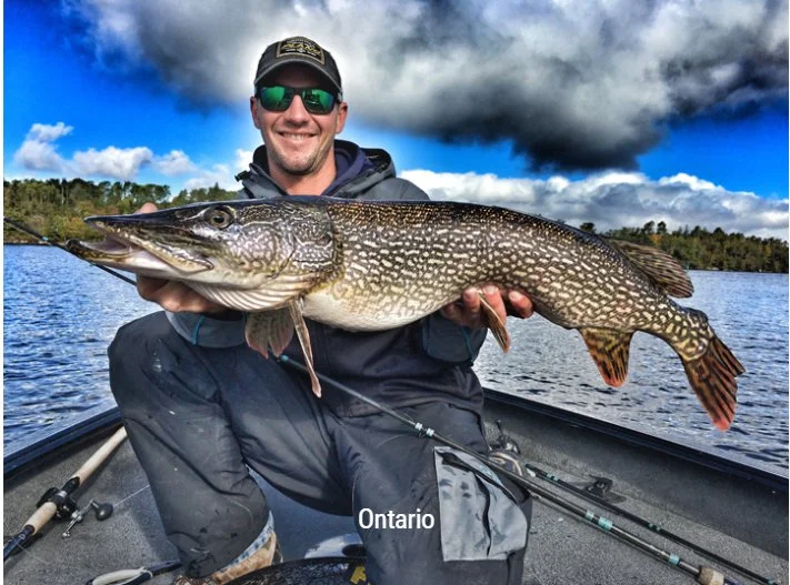 Canadian Federation of Outfitters (CFO - Canadian Federation of Outfitters) Canadian Federation of Outfitters (CFO - Canadian Federation of Outfitters)