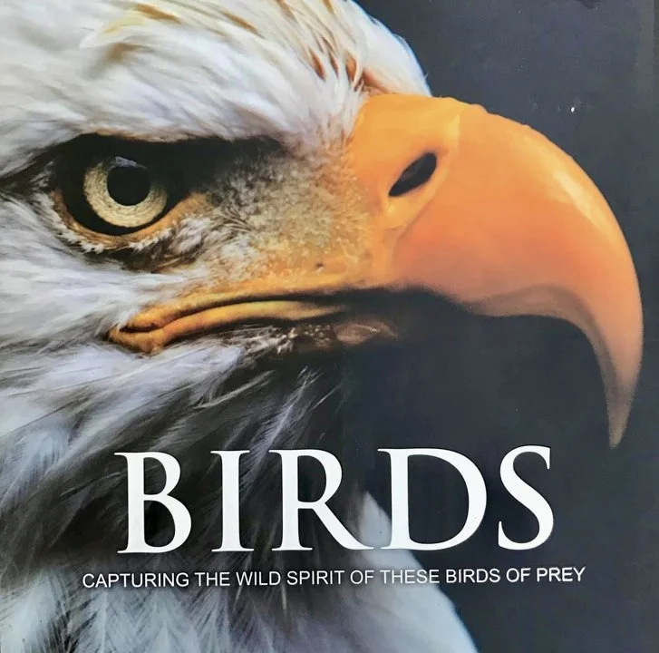 Falconry Books and Documentaries — Essential Reads, History, and Must-Watch Films for Hunters and Falconers Falconry Books and Documentaries — Essential Reads, History, and Must-Watch Films for Hunters and Falconers