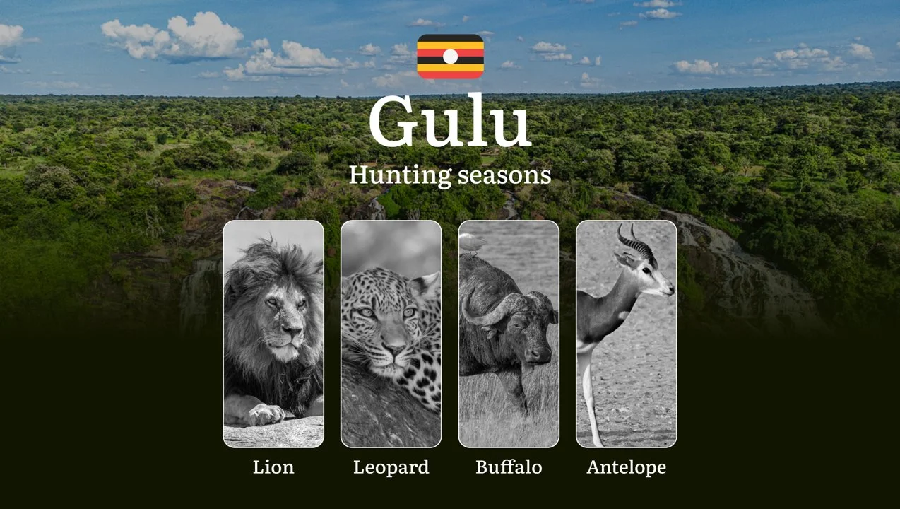 Permitted Hunting Intervals in Gulu: Year-Round Huntable Wildlife, Seasonal Migration of Game, and the Process for Securing a Legal Hunting Permit