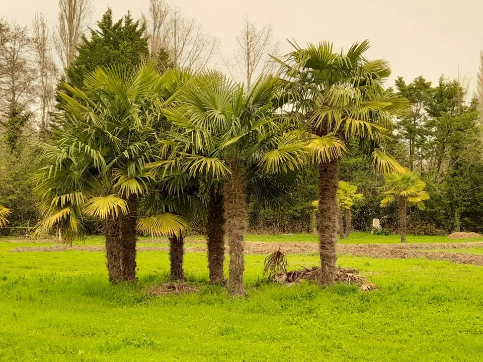 Saint-Louis Hunting Guide: Laws, Demographics Legislation. Birds, Wildlife, and Djoudj National Bird Sanctuary