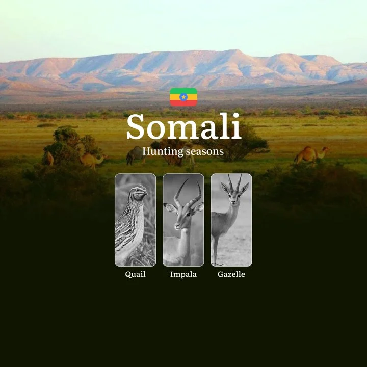 Ethiopia’s SOMALI Region: Hunting Seasons, Hunting Permits, Tips for Planning Your Hunt, Bans, Restrictions and Regulations
Main Hunting Rules and Seasonality in the Som