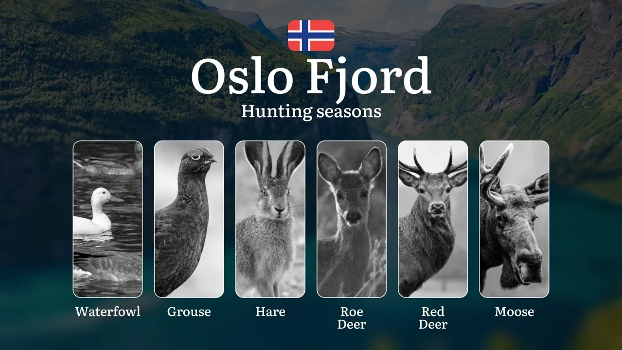 Hunting Seasons in Oslo Fjord: Restrictions, Bans, and Protected Species, Choosing Timing, Gear, and Tactics