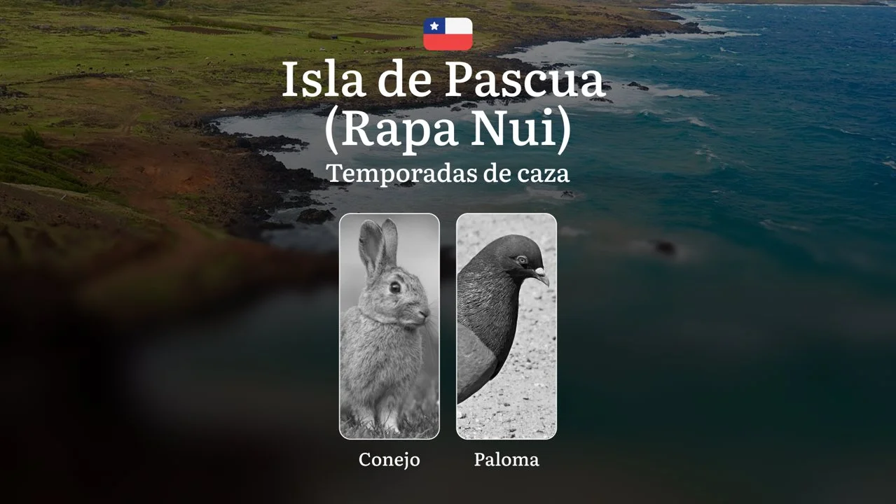 Fechas de caza en Chile en la Isla de Pascua (Rapa Nui): épocas de caza, permisos, normativas y mejores periodos para la caza

La Isla de Pascua es un destino único en el