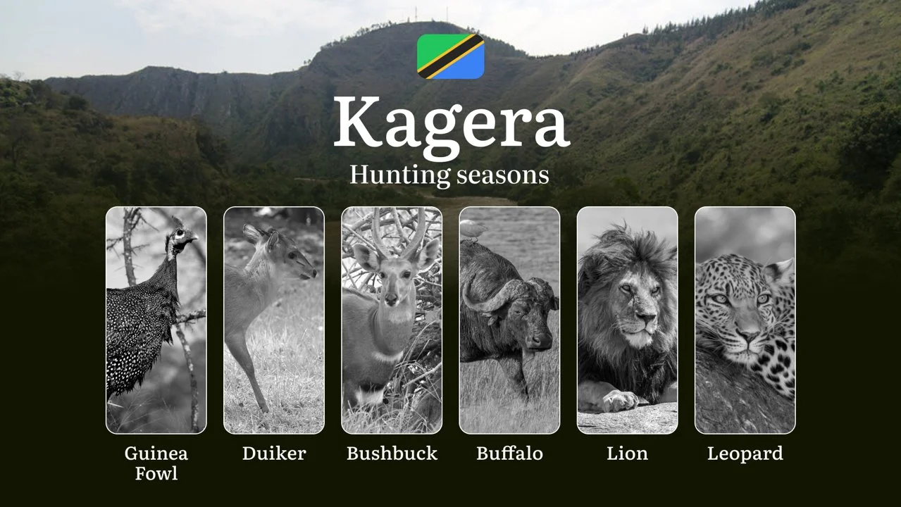 Kagera: Hunting Timeframes, Species and Seasonal Bans, Participating in the Hunt, Getting Licensed, Penalties That May S…