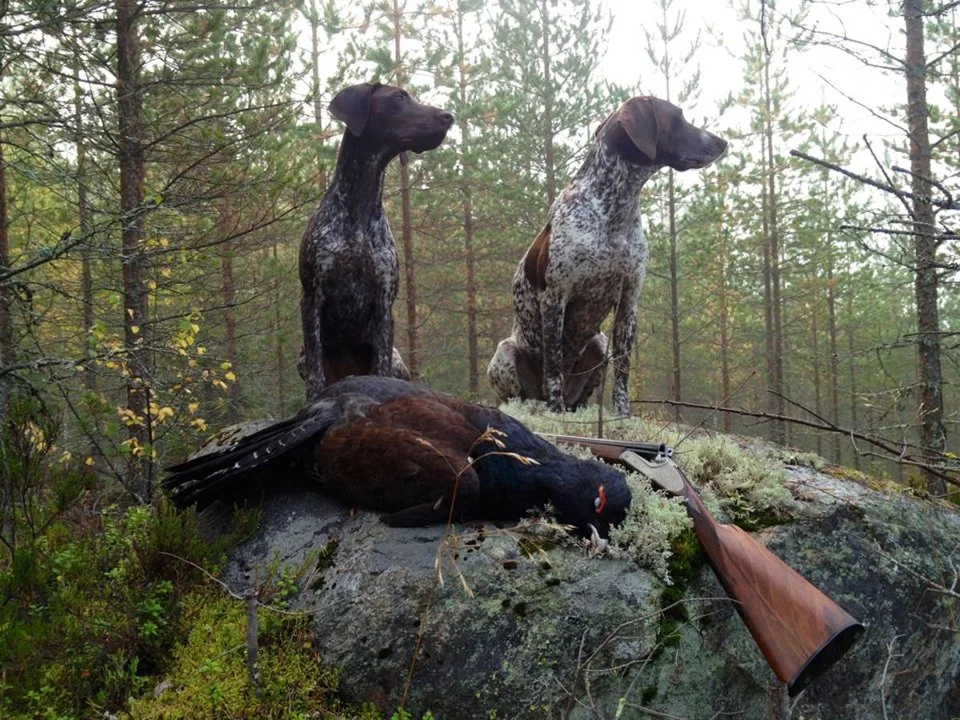 The Ultimate Guide to Jyväskylä Hunting: Geography, Seasons, Clubs, Legislation, Types, and Local Clubs