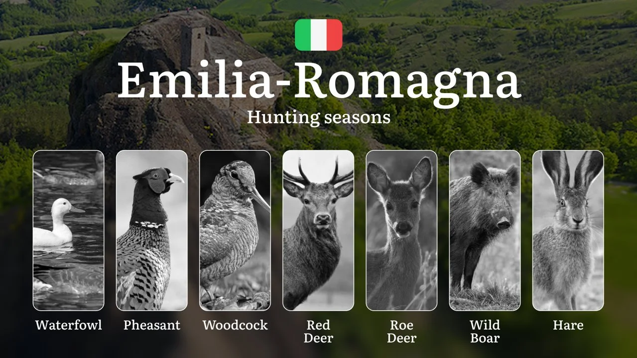 Hunting in Emilia-Romagna: From the Comacchio Valleys to the Apennines – The Hunting Calendar, Seasons, and Rules to Know