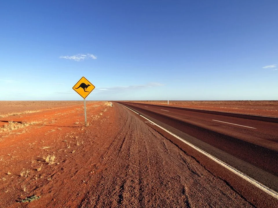 Nullarbor Plain Hunting: Unique Challenges and Rewards of Open Terrain, Demographics, Legislation System, Associations and Clubs, Laws and Hunting Seasons 
The Nullarbor 