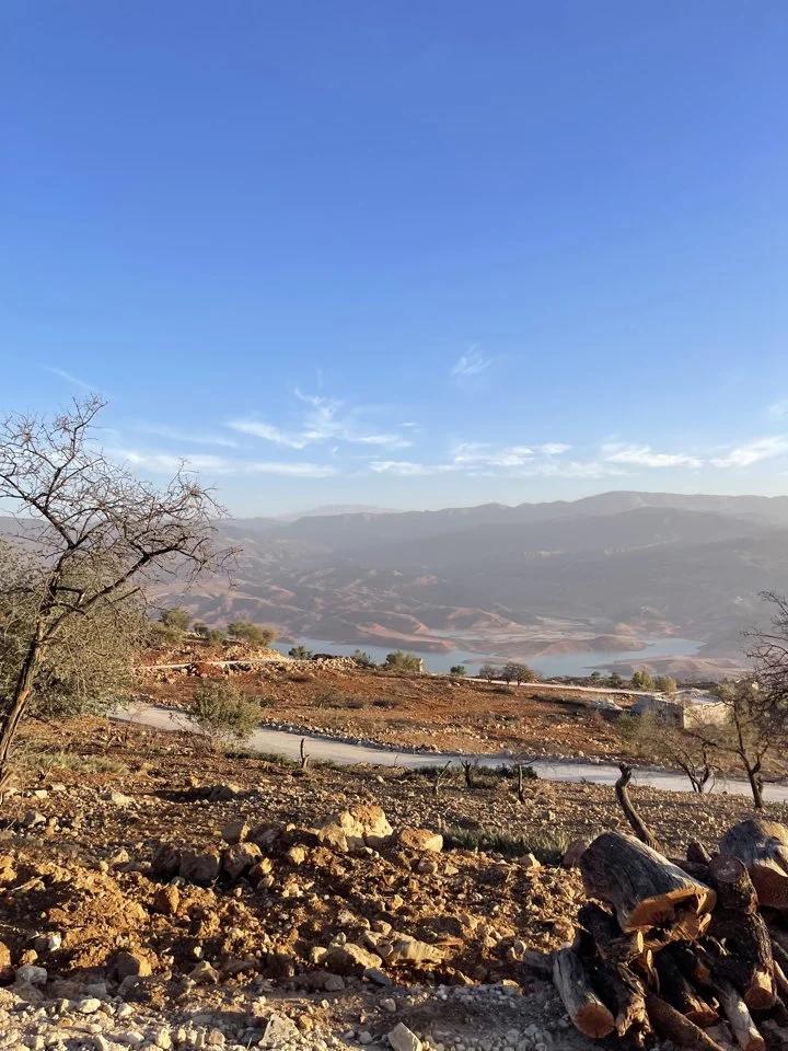 What Can You Hunt in Morocco? Complete List of Game Animals

Morocco is one of North Africa’s most diverse hunting destinations, offering a rugged mix of mountains, fores