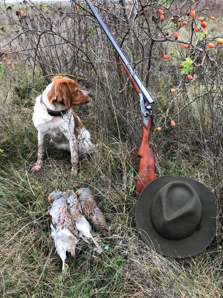 The Breton Spaniel: The Ideal Hunting Companion for the Avid Hunter