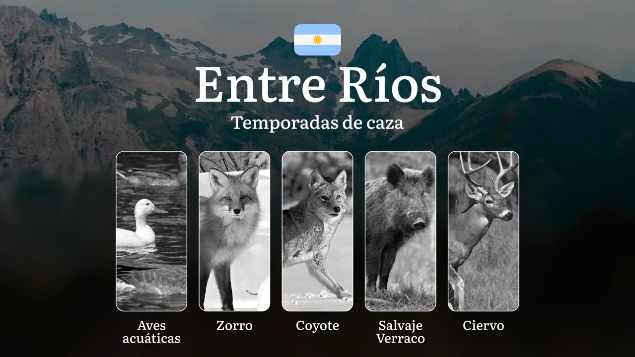 Temporadas de caza, plazos y normas de caza en la provincia de Entre Ríos, Argentina: lo que todo cazador debe saber
¿Cuándo se puede cazar? Todo sobre los plazos y regu