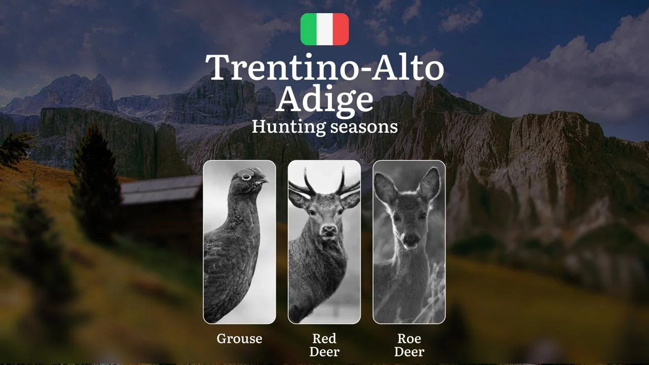 Trentino-Alto Adige Alpine Hunting Seasons: High-Altitude Schedules for Grouse, Chamois and Red Deer