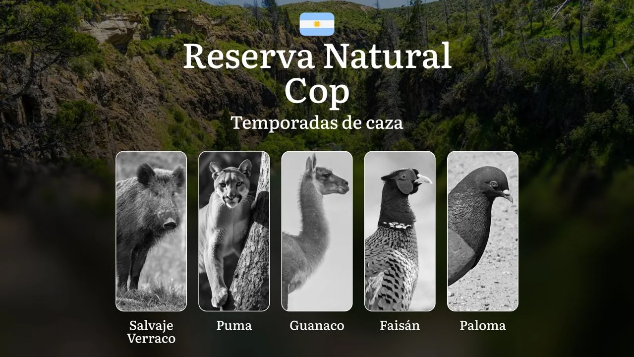 Argentina: la Reserva Natural Cop y sus particularidades, normas generales y temporadas, una licencia de caza, horario, ubicación, equipamiento y tácticas

Normas general