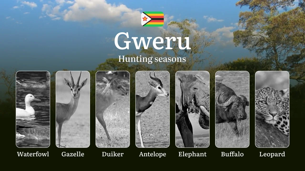 Seasons of Hunting in Zimbabwe, GWERU Region: Hunting Periods, Licenses, Rules and Times, Hunting License and Tips for H…