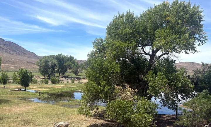 Nevada New State Park Hunt Fish Access | Carson River Waterfowl Hunting Break-A-Heart Ranch