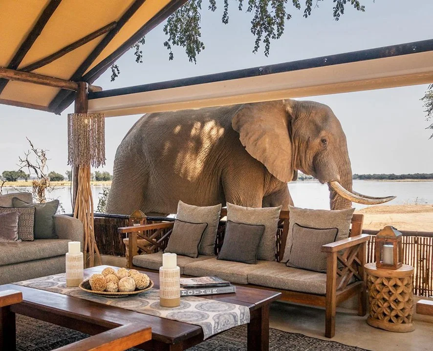 Africa’s favourite bushcamp, as voted by the readers of #travelafricamagazine. Its exquisite location in one of Africa’s most prolific pockets of wildlife, with rampaging