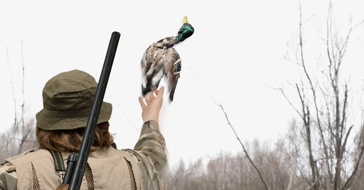 What is Ethical Hunting?
