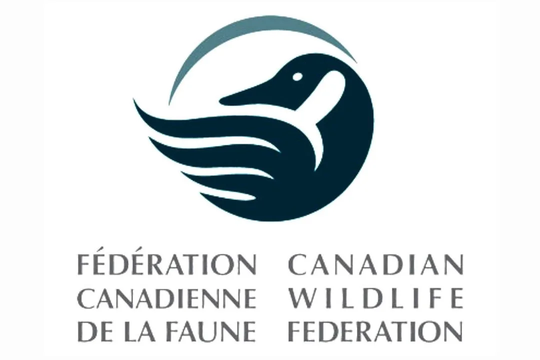 The Canadian Wildlife Federation (CWF) is one of Canada’s leading conservation organizations, dedicated to fostering app…