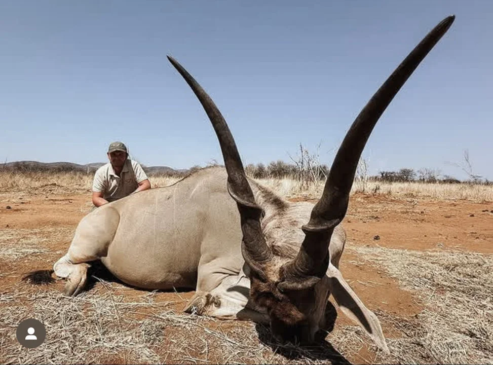 The Ultimate Guide to Hunting in Africa: An Adventure of a Lifetime
