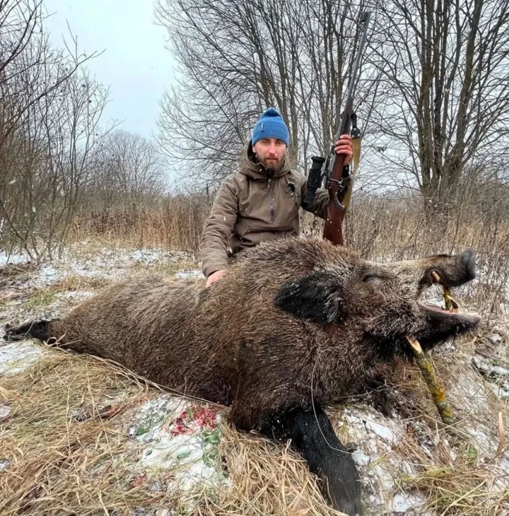 Wild Boar Hunting in Belarus: Driven Hunts and Trophy Success, Hunting Methods, Seasons, Price, Tips.

Introduction

Wild boar hunting in Belarus is a pursuit steeped in 