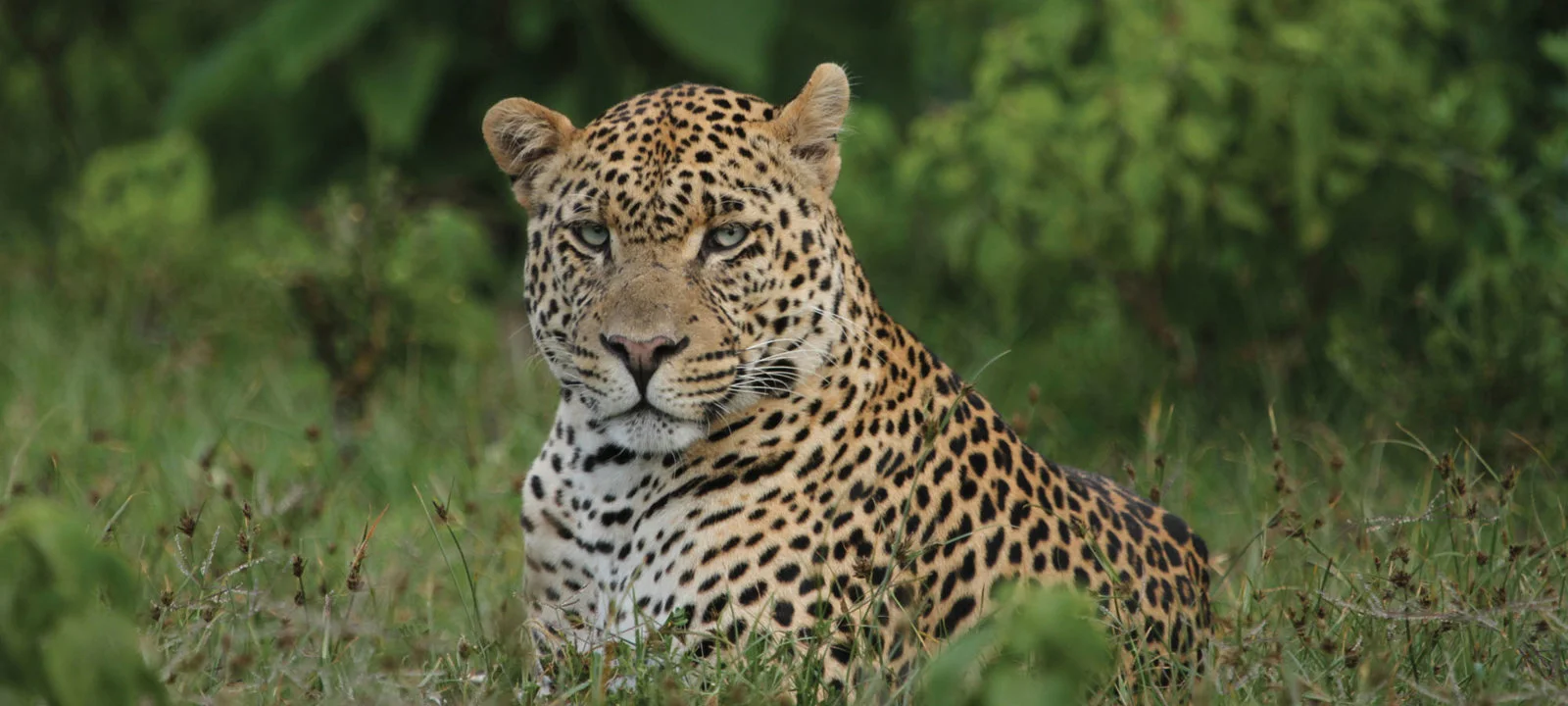 Hunting in Mara Region, Tanzania: Hunting Seasons, Laws and Legislation, Tanzanian Demographics and Geography